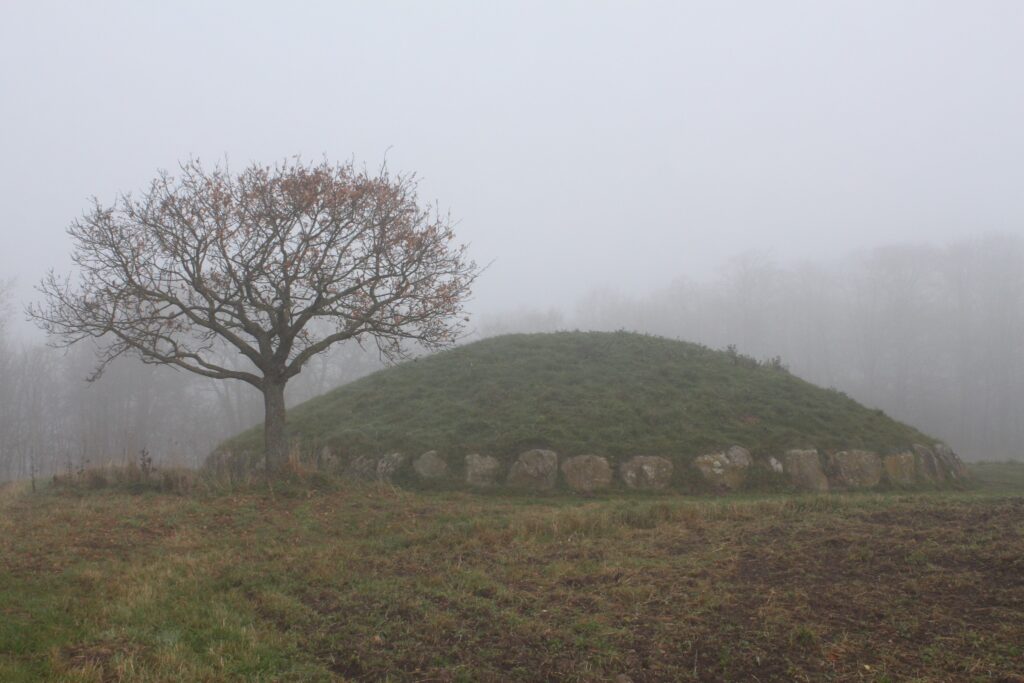 Horsens Backyard Ultra 2024 [UDSOLGT]