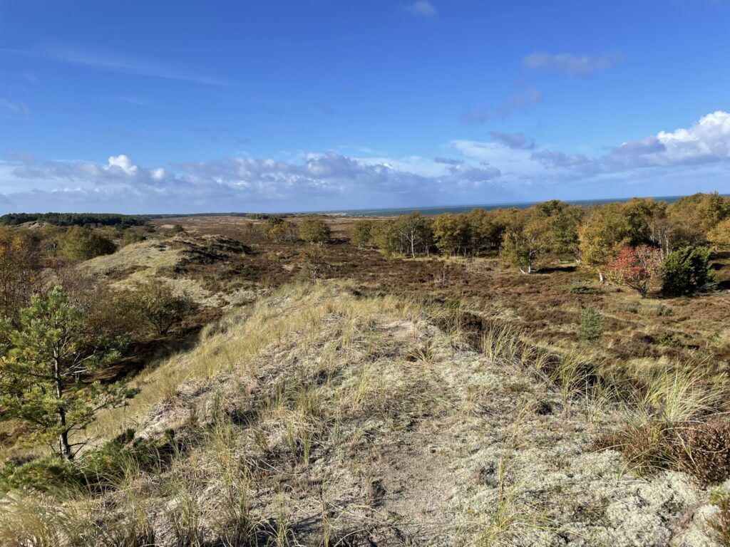 Læsø Trail 2024