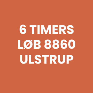 6-timers-loeb-8860-ulstrup-logo