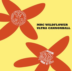 wildflower-logo