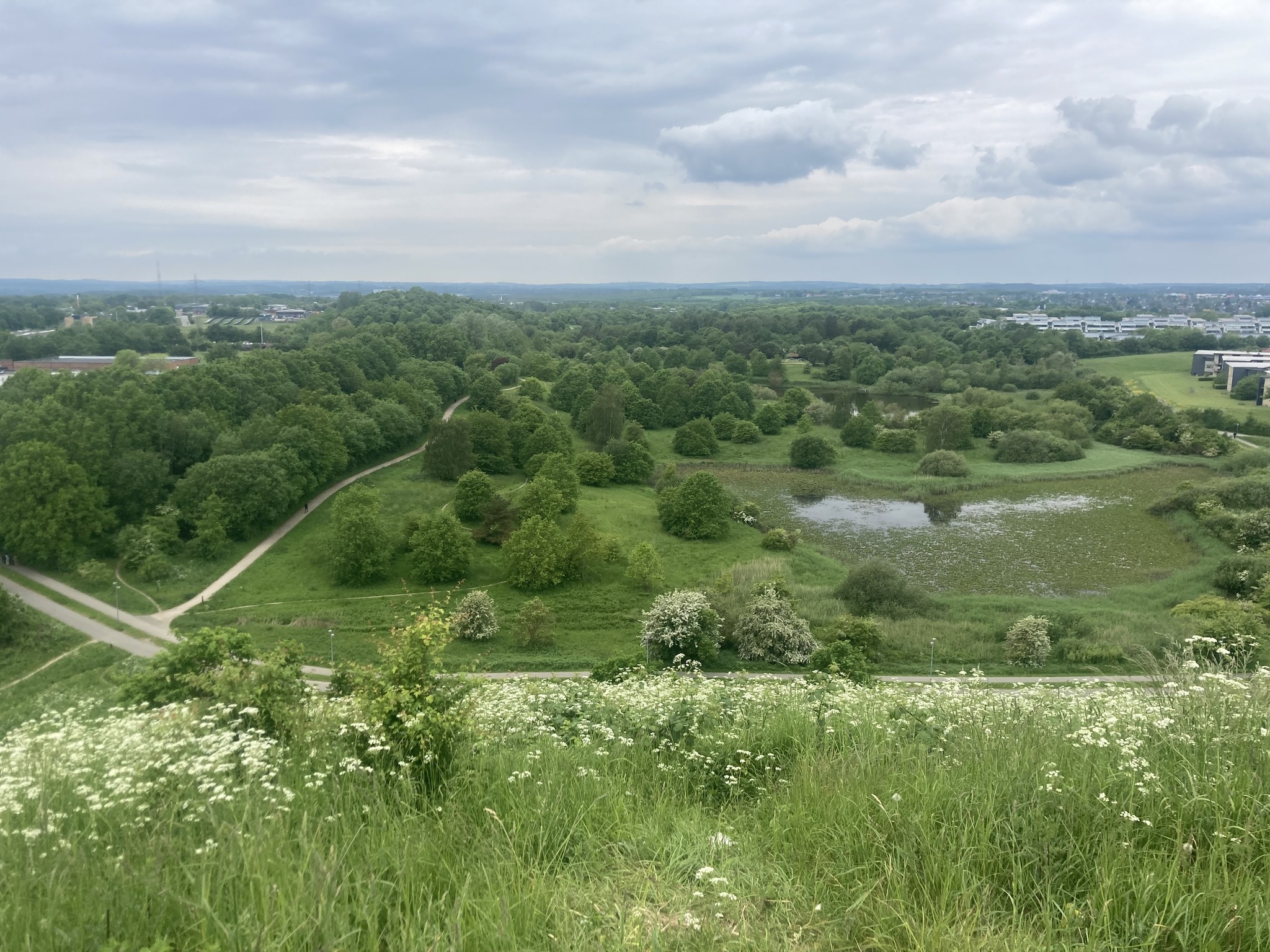 Hasle Bakker Backyard 2024 Ultraløb og trailløb i Danmark kalender