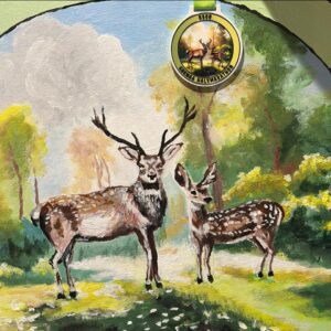 Grenaa Halvmarathon - 6 timers ultraløb 2026